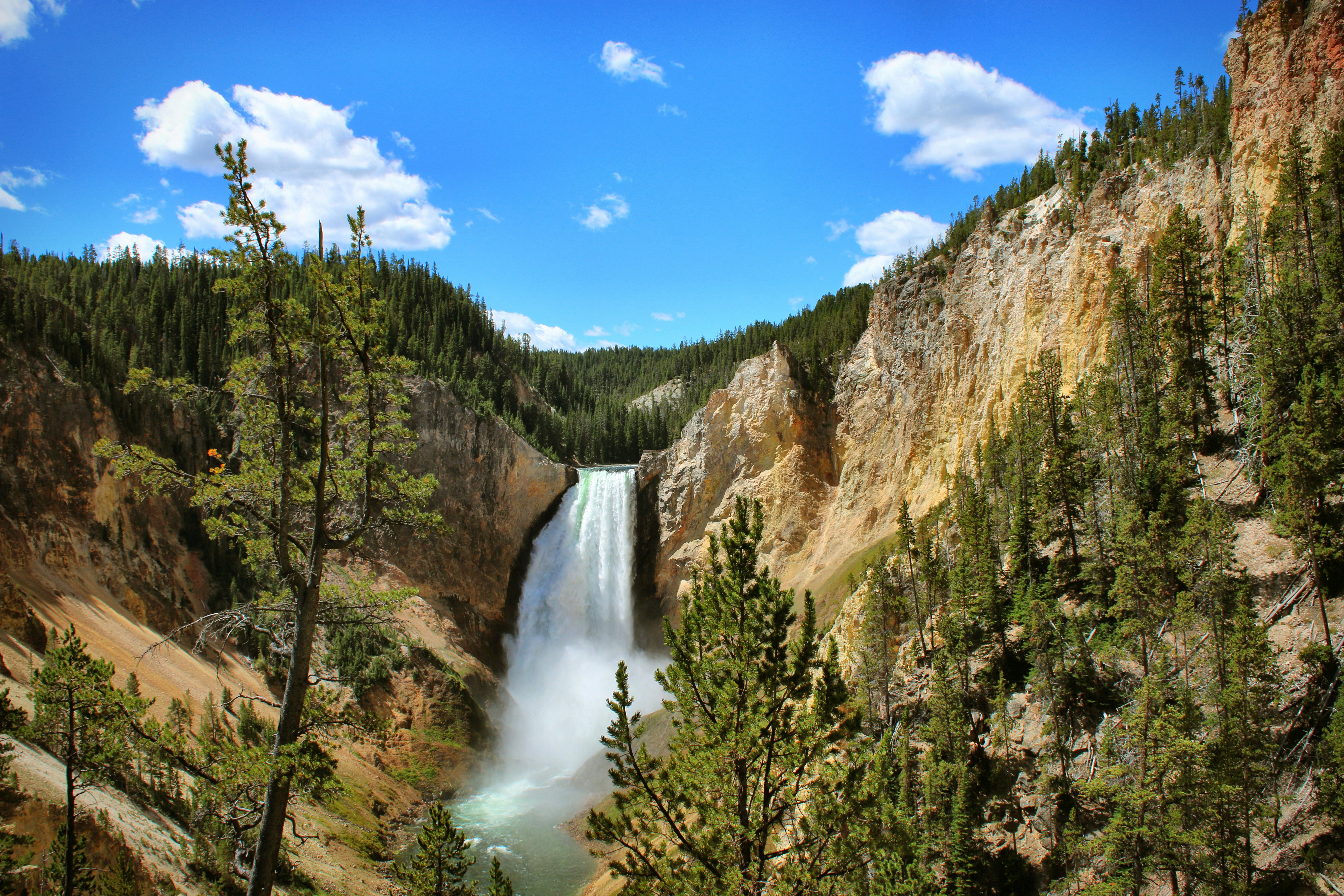 Yellowstone Falls