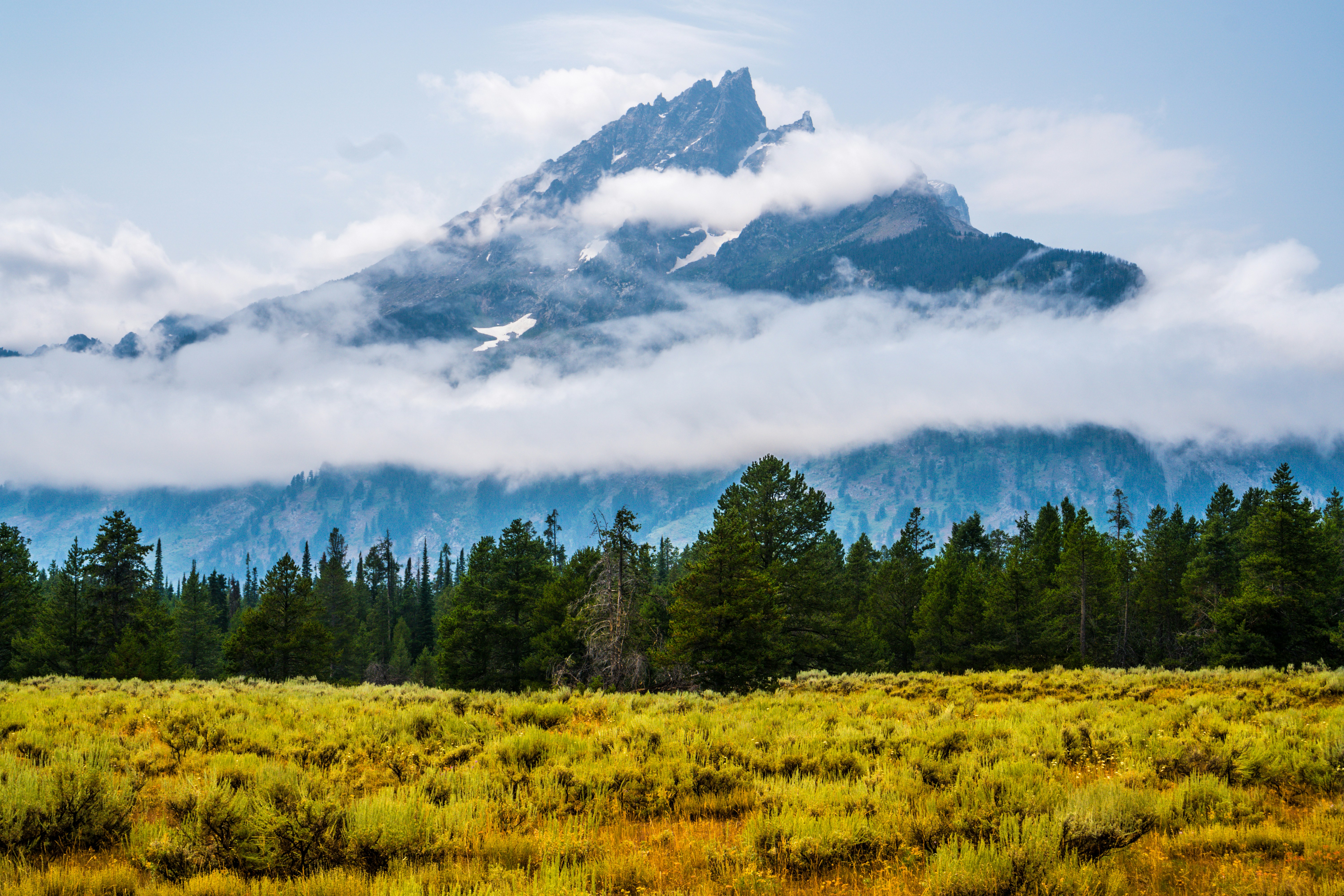 Yellowstone landscape